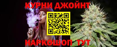 сатива Краснодар