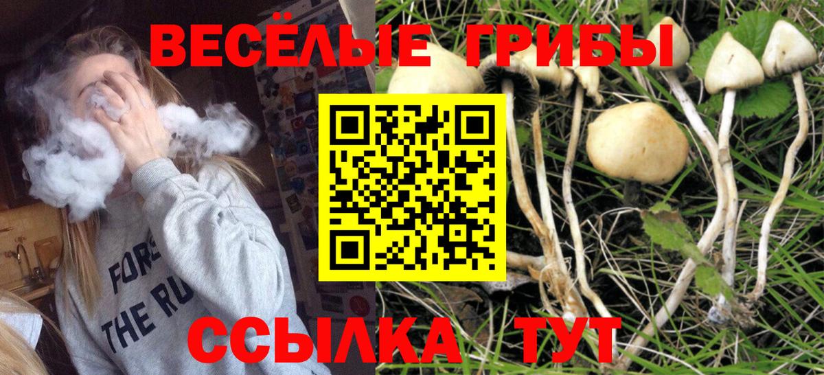 Кирово-Чепецк  Галлюциногенные грибы Cubensis  Псилоцибиновые грибы Psilocybe  Вход с VPN 
