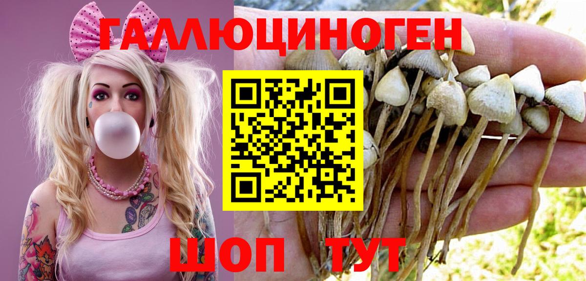 Галлюциногенные грибы мухоморы Кирово-Чепецк